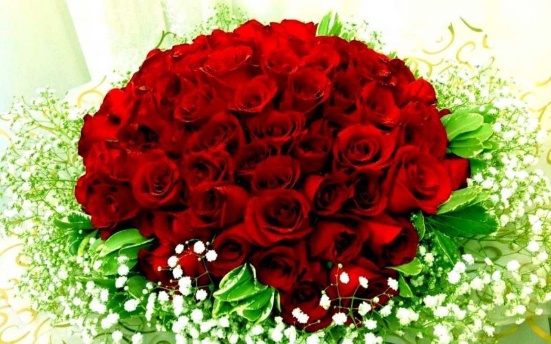 Top 19 Loài hoa ý nghĩa tặng bạn gái vào ngày Valentine - toplist.vn