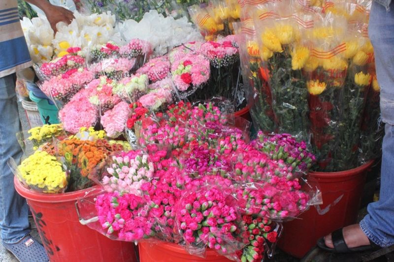 Hoa điển hình ở Mai Dịch
