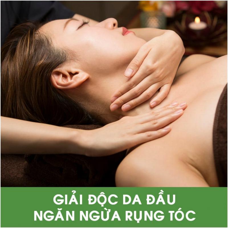 Hoa Mộc Tâm An