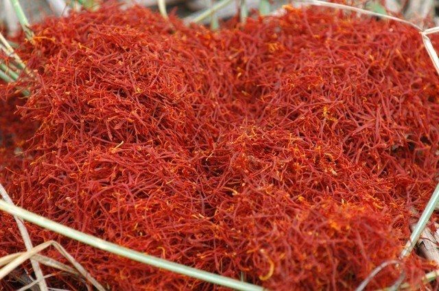 Hoa nghệ tây (Saffron)