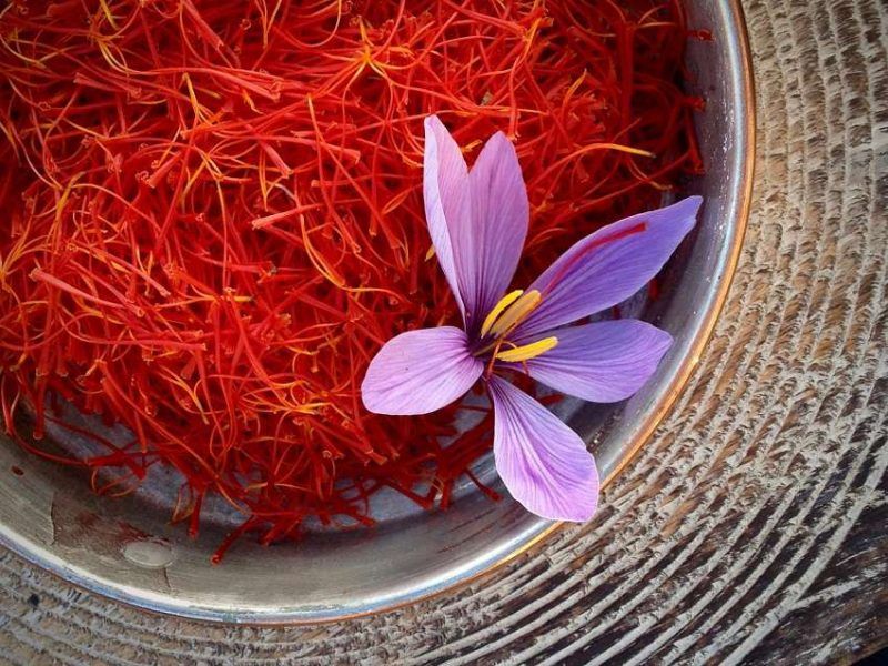 Hoa nghệ tây (Saffron)