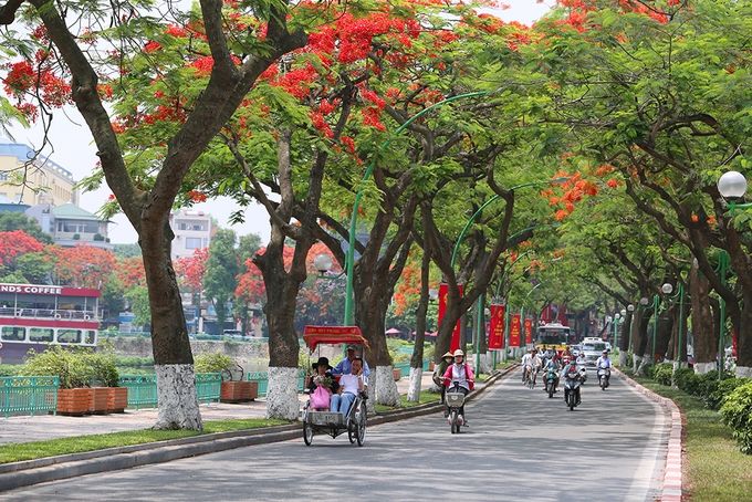 Hoa Phượng