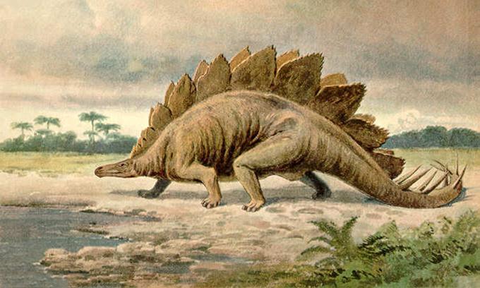 Hoá thạch loài khủng long vây kiếm lâu đời nhất thế giới
