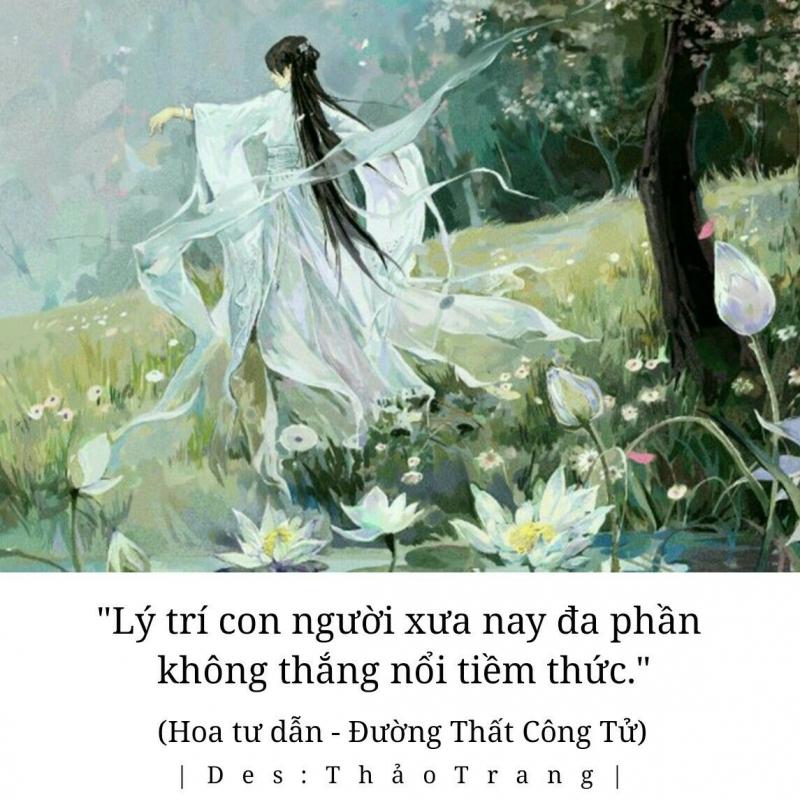 Hoa tư dẫn