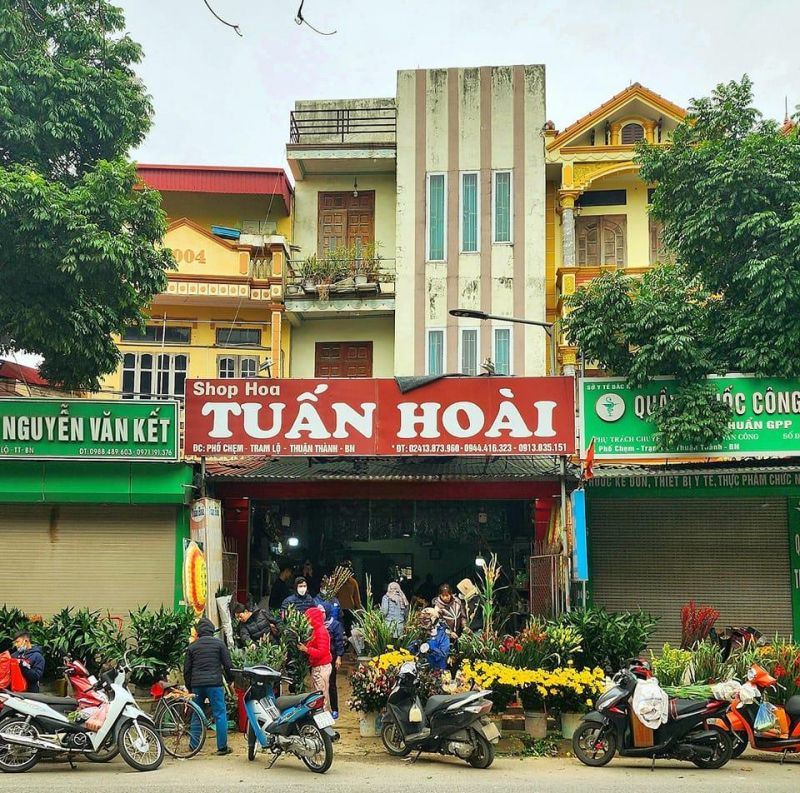 Hoa tươi Tuấn Hoài