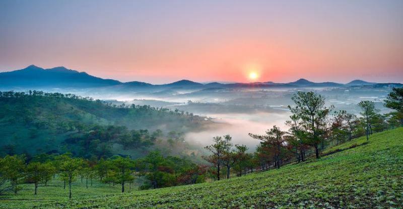 Hoa - Vẻ đẹp tiêu biểu và nổi bật