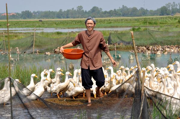 Nghệ sĩ Hoài Linh trong một vai diễn