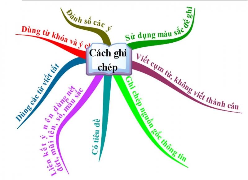 Học ôn một cách logic và có trình tự