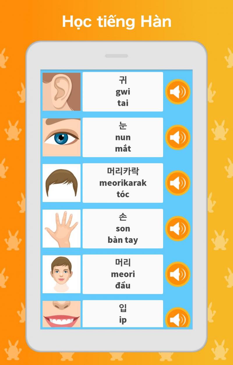 ứng dụng học tiếng Hàn hay nhất trên android