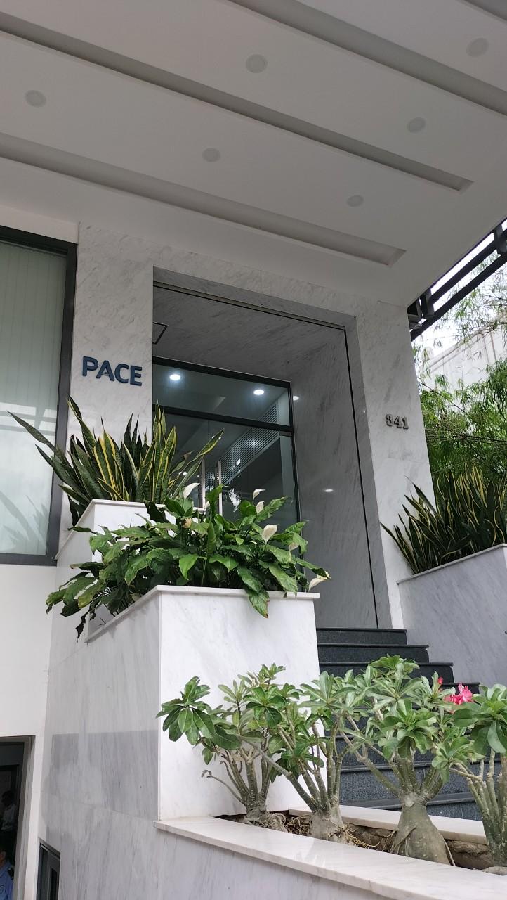 Học viện quản lý PACE