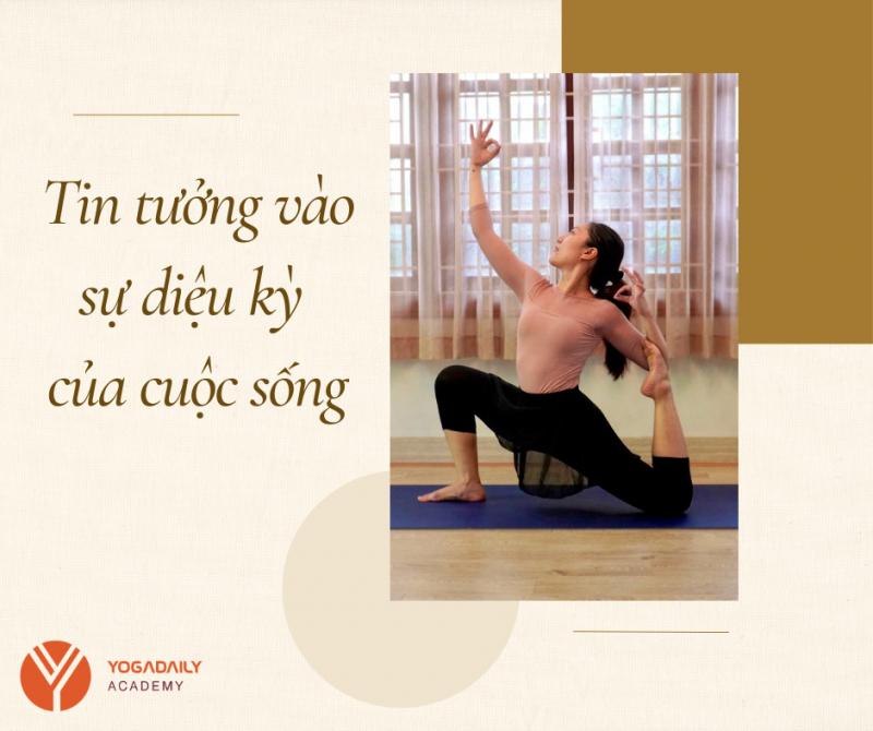 Học viện Yogadaily