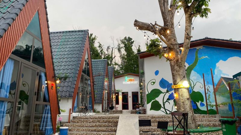 Homestay Đậu Đậu