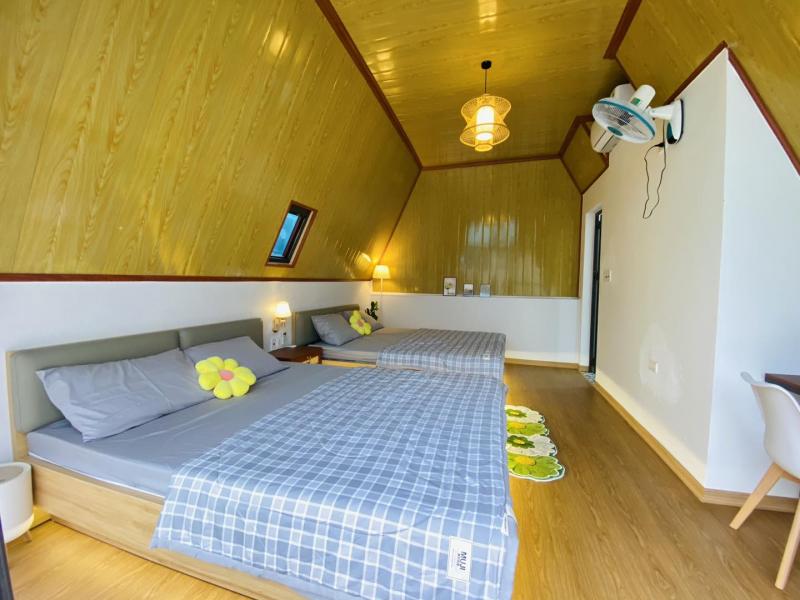 Homestay Đậu Đậu