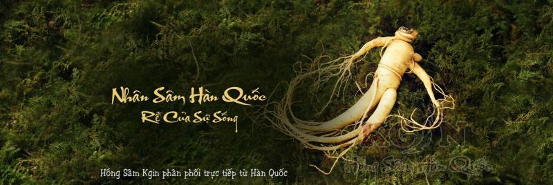 Hồng Sâm Hàn Quốc KGIN