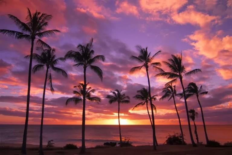 Honoluu, Hawaii - Cấm hát to khi mặt trời lặn