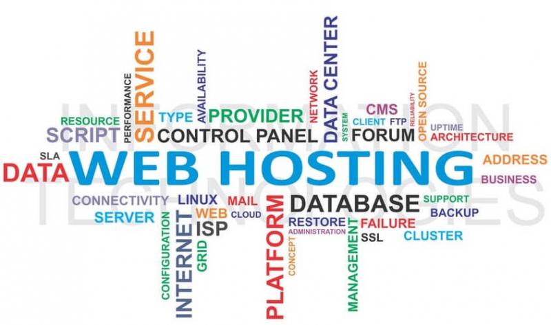 Host ổn định và domain tốt