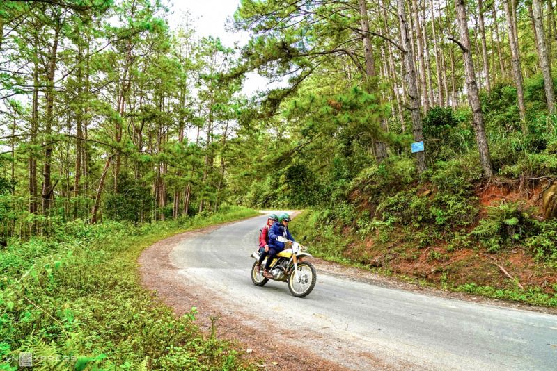 Hướng dẫn cách di chuyển đến Măng Đen