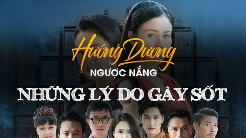 Hướng dương ngược nắng