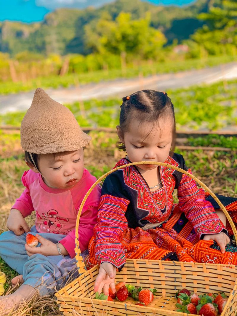 Huy Béo Farm