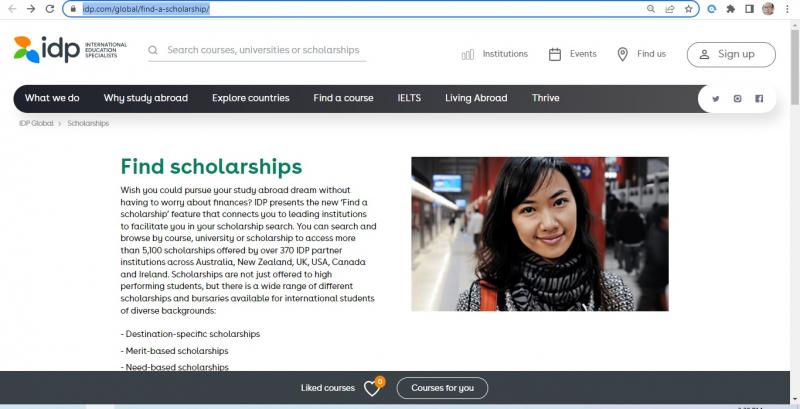 IDP Scholarship