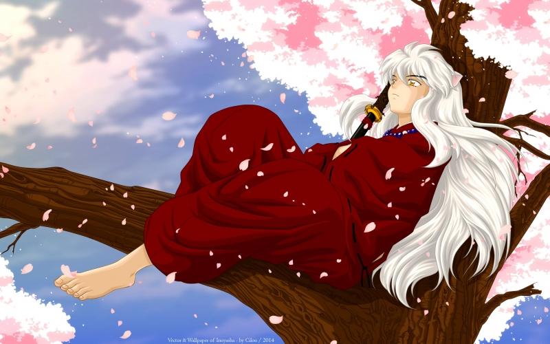 Bộ phim là cuộc đấu tranh dai dẳng của nhóm Inuyasha chống lại cái ác