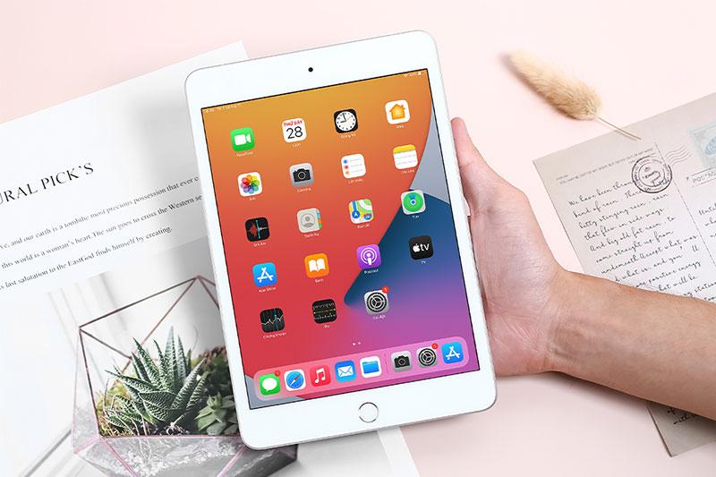 iPad mini 7.9 inch Wifi Cellular 64GB (2019)