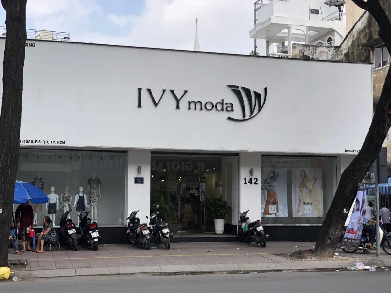 IVY moda