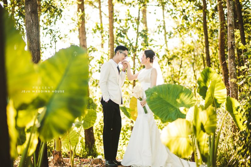 JeJu Wedding House