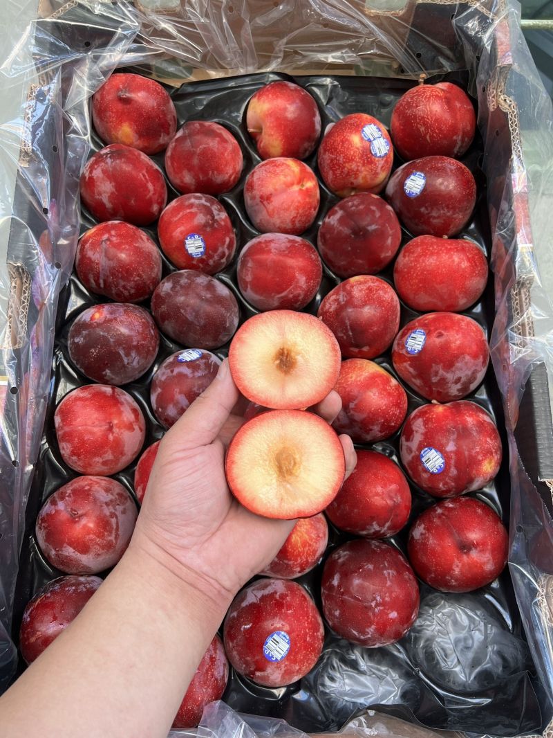 K Fruits - Trái cây Nhập khẩu