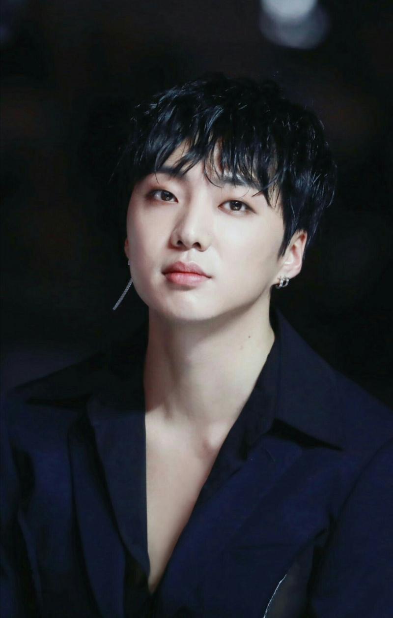 Kang Seungyoon (Winner)