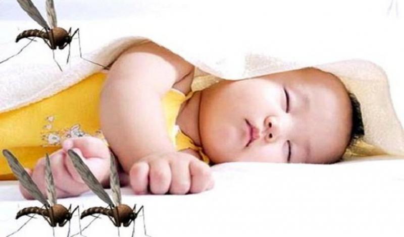 ﻿Kem làm dịu và trị côn trùng đốt ﻿Bio Bio Baby