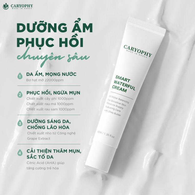 Kem dưỡng Caryophy Caryophy Smart Waterful Cream