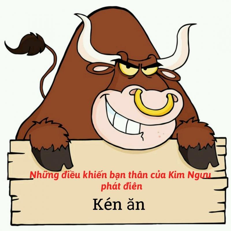 Kim Ngưu kén ăn