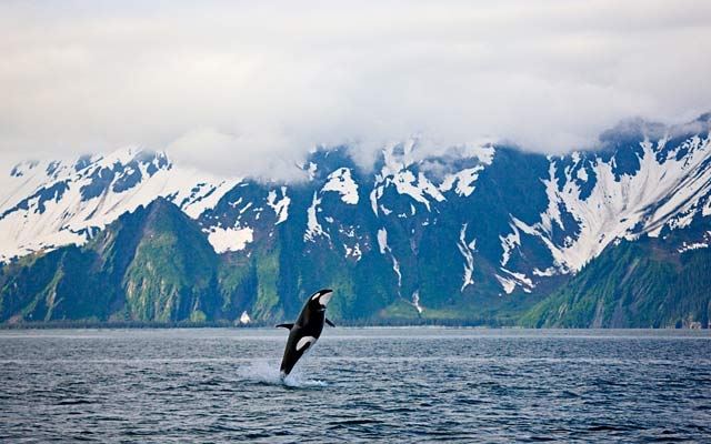 Kenai Fjords, Alaska