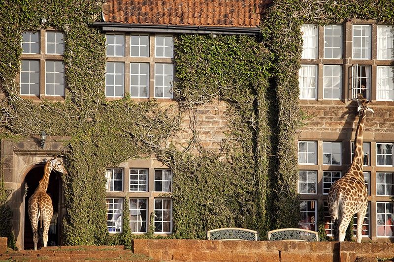 Khách sạn Giraffe Manor, Kenya