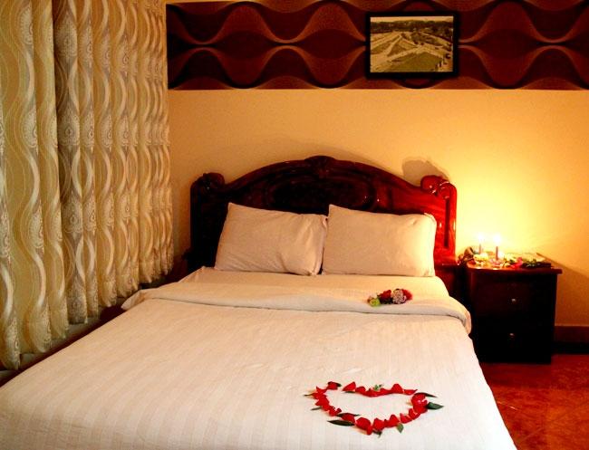Green Tulip Hotel equipped with all 23 spacious rooms, elegant design, fully equipped facilities