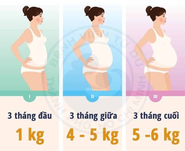 Đo chiều cao, cân nặng là một bước trong thực hành khám thai
