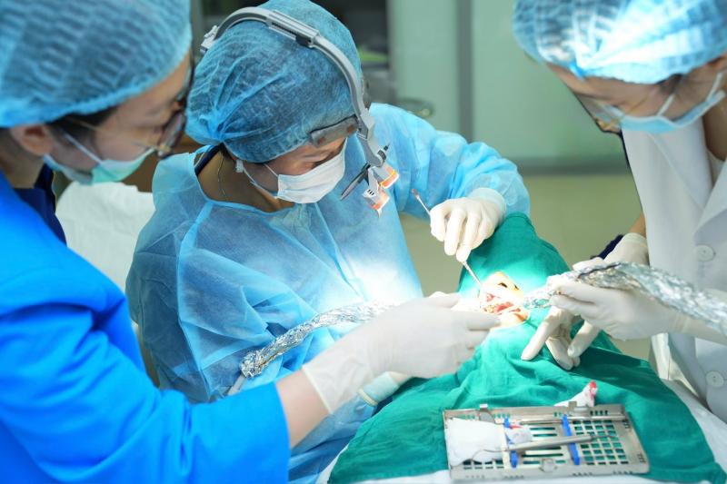TS, BS Phạm Thị Thu Hằng – Chủ nhiệm Khoa Răng thực hiện cấy ghép Implant cho bệnh nhân