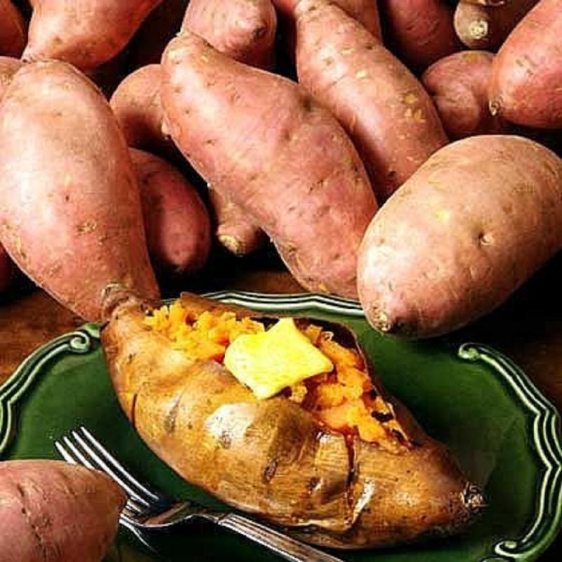 Hoang Long sweet potato