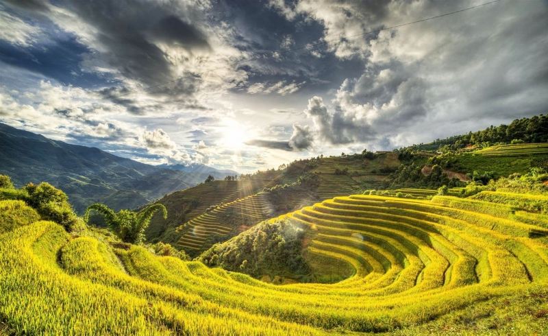 Top 9 điều thú vị nhất khi mùa thu đến ở Việt Nam