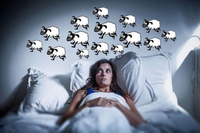 Không đếm cừu khi ngủ