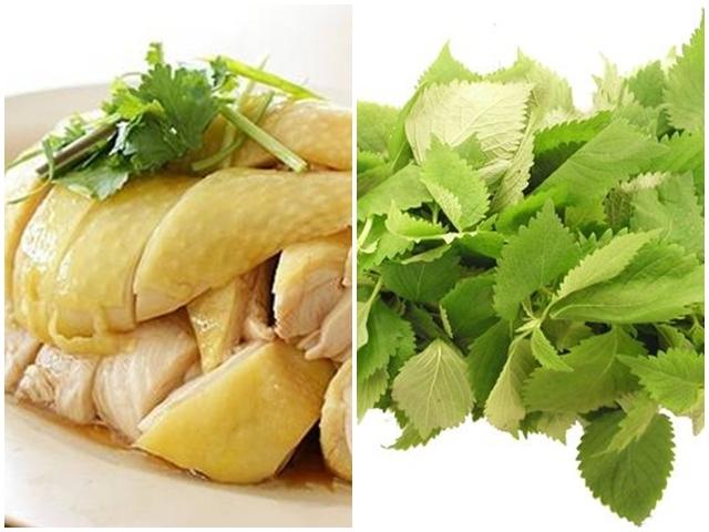 Thịt gà - rau kinh giới, không nên ăn chung