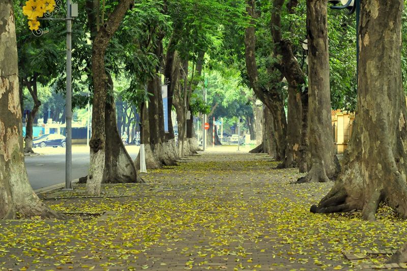 Mùa thu Hà Nội