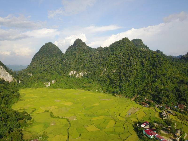 Khu bảo tồn thiên nhên Kim Hỷ