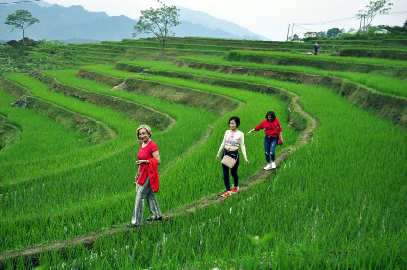 Khu bảo tồn thiên nhiên Pù Luông