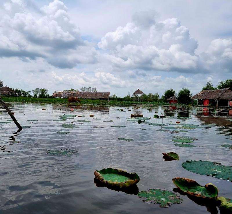 Khu du lịch Đồng Sen Tháp Mười