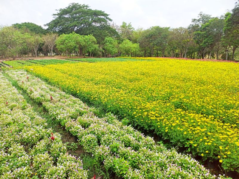 Khu du lịch sinh thái Thác Giang Điền