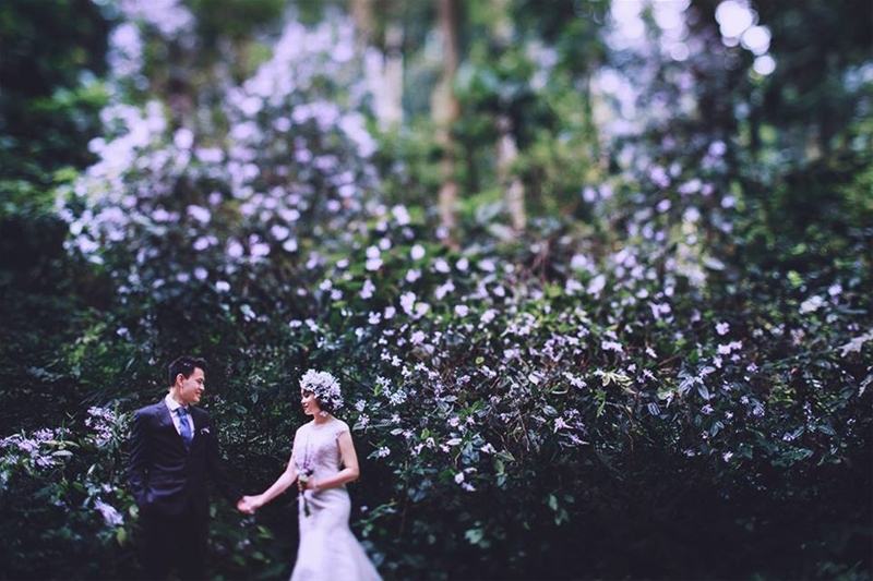 Top 10 địa diểm chụp ảnh cưới đẹp và lãng mạn nhất tại Ninh Bình