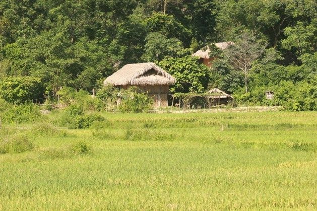 Một bản làng người Thái trong Vườn quốc gia Pù Mát