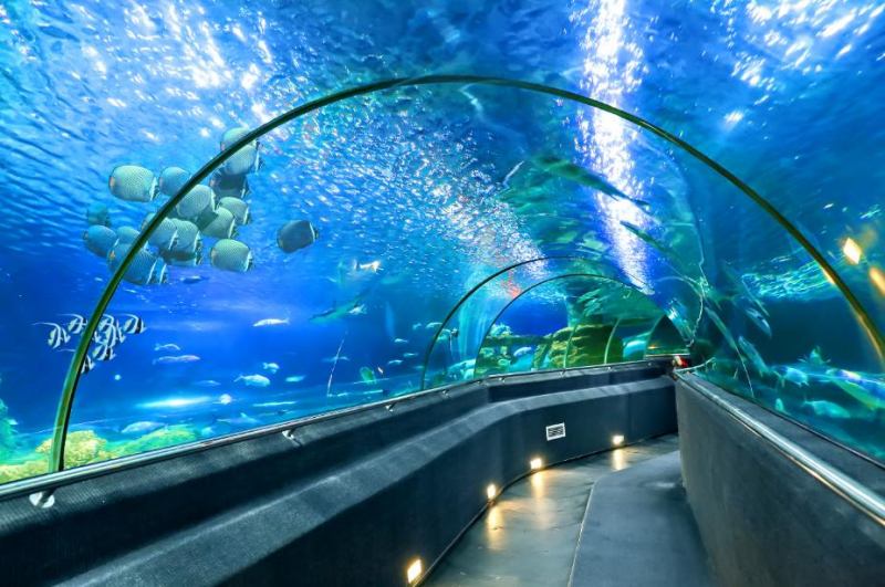 Khu thủy cung Vinpearl Aquarium